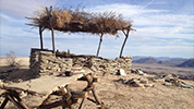 Last Days in the Desert