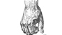 hand